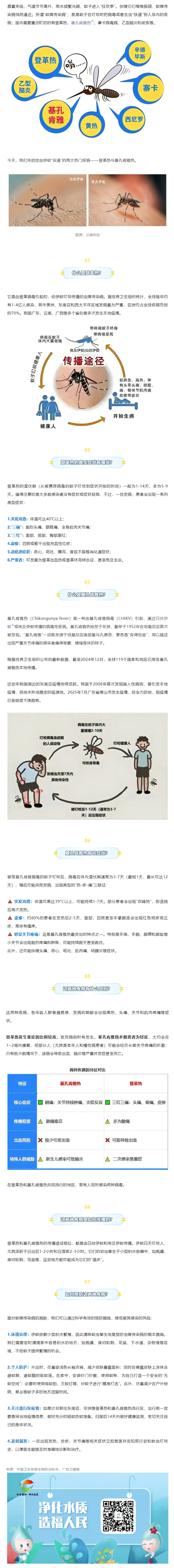 基孔肯雅熱3_副本.jpg